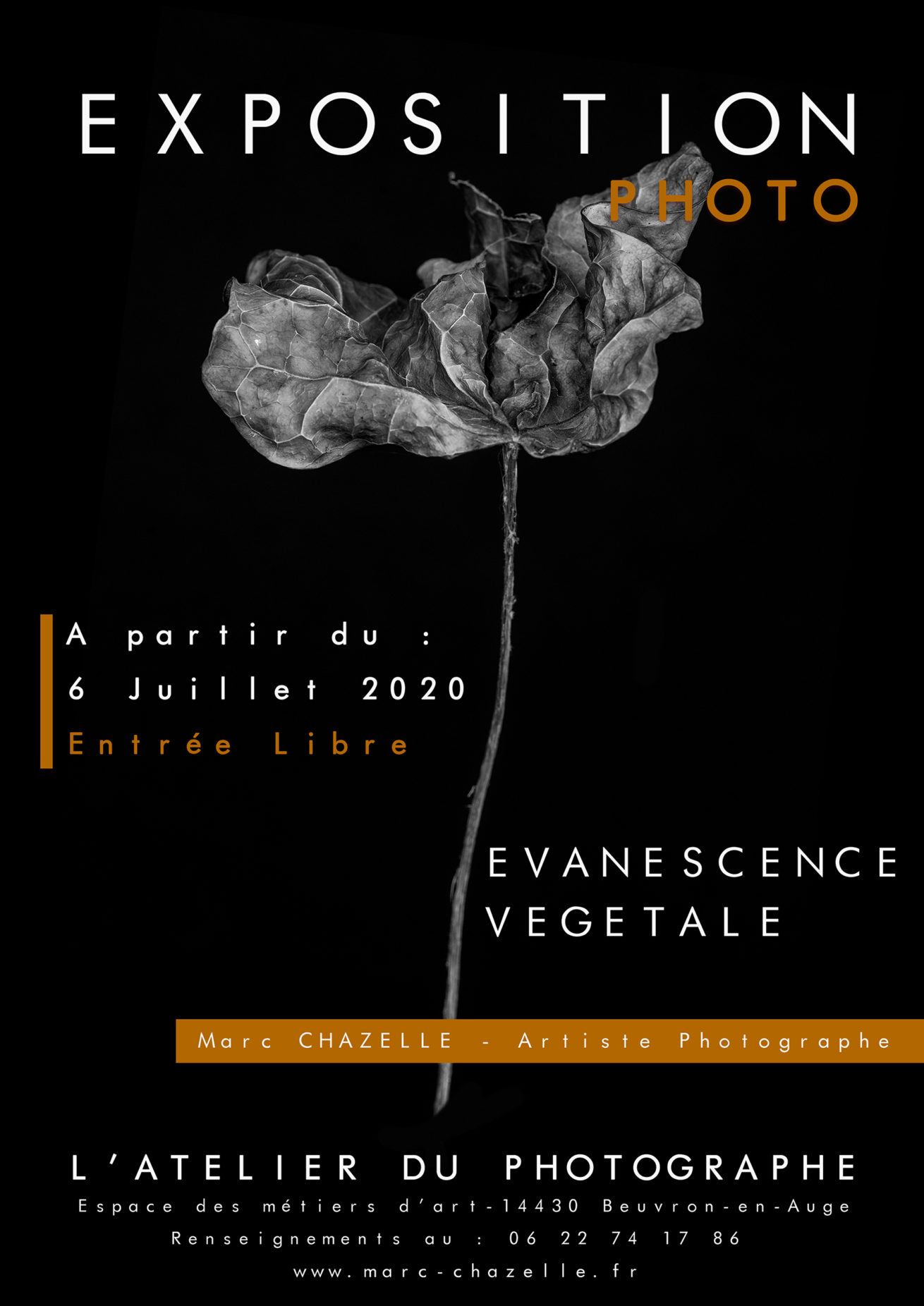 Affiche de l'exposition Evanescence Végétale