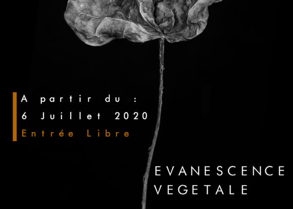 Affiche de l'exposition Evanescence Végétale
